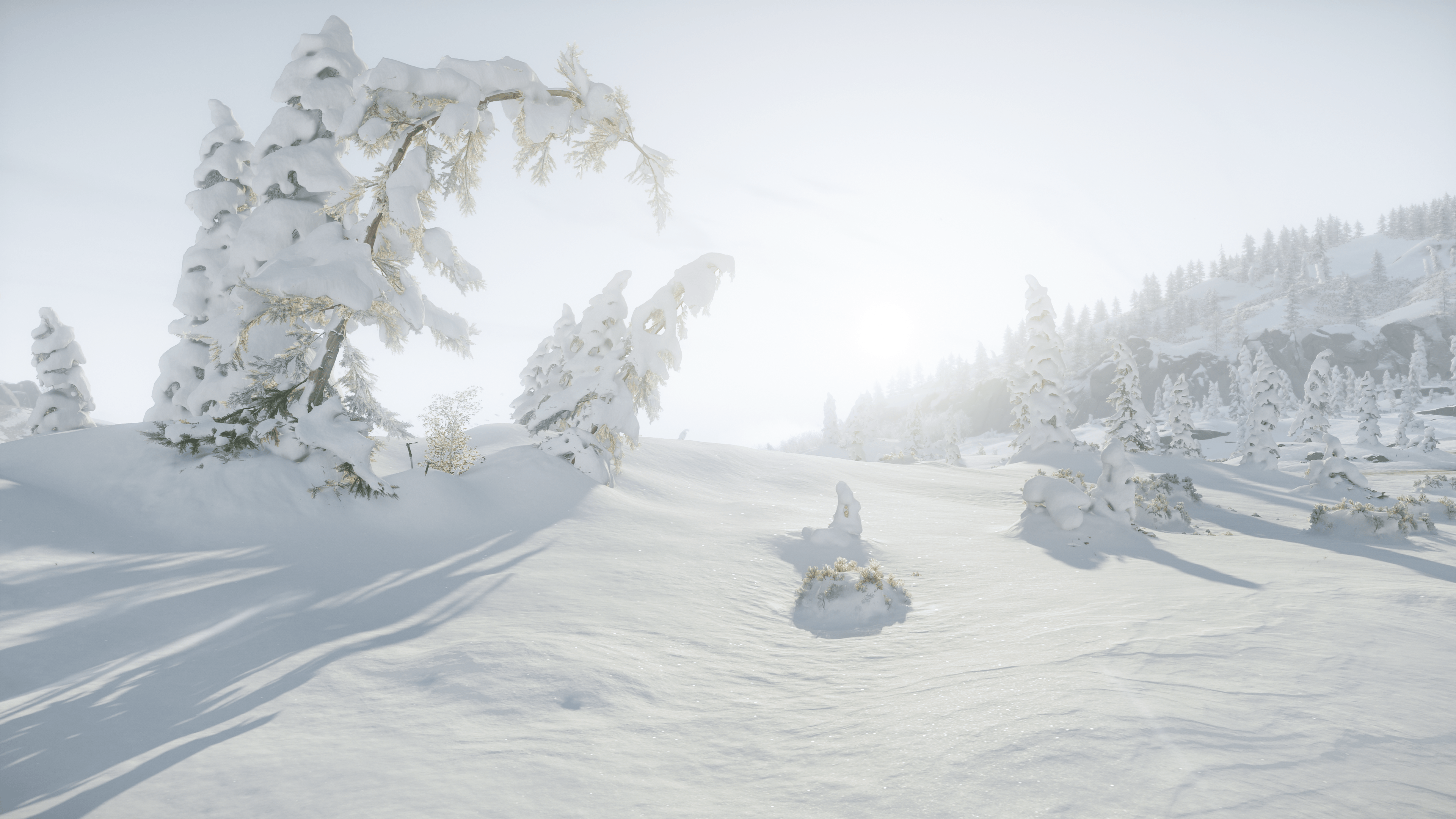 Screenshot from the game Ghost of Yotei