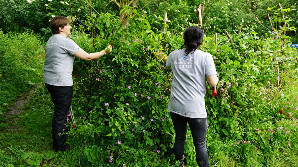 タワーハムレッツ墓地公園の外来植物を除去する社員たち